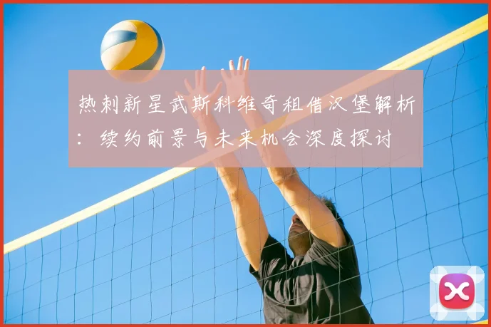 热刺新星武斯科维奇租借汉堡解析:续约前景与未来机会深度探讨