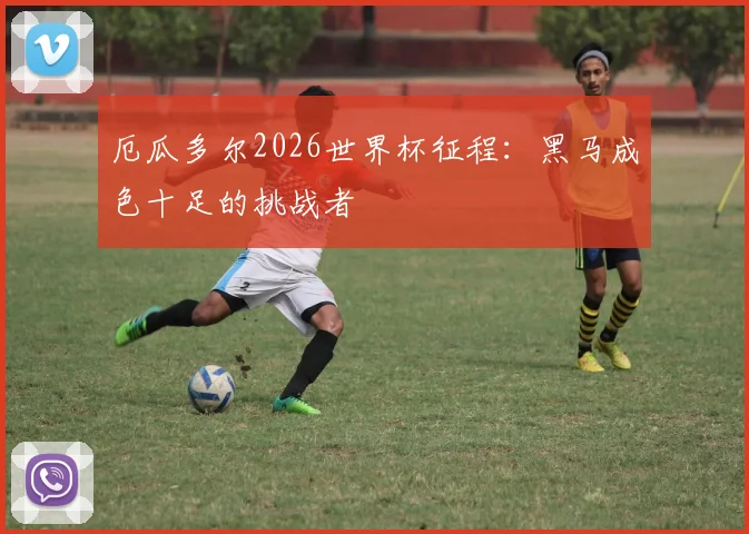 厄瓜多尔2026世界杯征程:黑马成色十足的挑战者