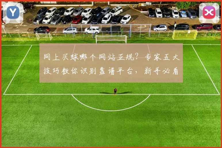 网上买球哪个网站正规?专家五大技巧教你识别靠谱平台,新手必看防骗指南